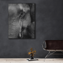 Load image into Gallery viewer, Wildlife : Two
