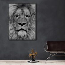 Load image into Gallery viewer, Wildlife : One