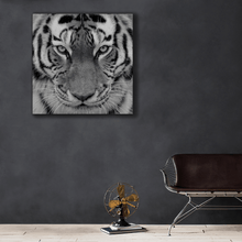 Load image into Gallery viewer, Wildlife : Four