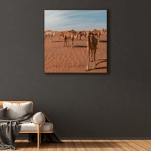 Load image into Gallery viewer, Nomad : Three