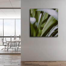 Load image into Gallery viewer, Leaves : One