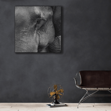 Load image into Gallery viewer, Wildlife : Two