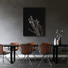 Load image into Gallery viewer, Dried flowers : Four