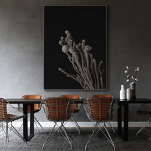 Load image into Gallery viewer, Dried flowers : Four