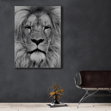 Load image into Gallery viewer, Wildlife : One
