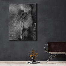 Load image into Gallery viewer, Wildlife : Two