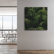 Load image into Gallery viewer, Forest : One