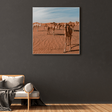 Load image into Gallery viewer, Nomad : Three