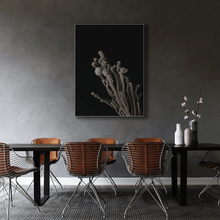 Load image into Gallery viewer, Dried flowers : Four