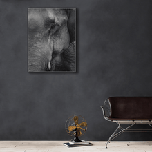 Load image into Gallery viewer, Wildlife : Two