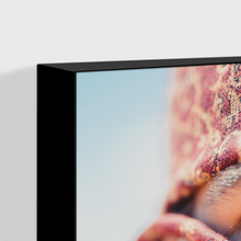 Load image into Gallery viewer, Nomad : One