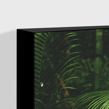 Load image into Gallery viewer, Forest : Three