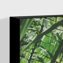 Load image into Gallery viewer, Forest : Two
