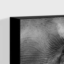 Load image into Gallery viewer, Wildlife : Two