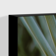 Load image into Gallery viewer, Leaves : Three