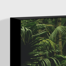 Load image into Gallery viewer, Forest : One