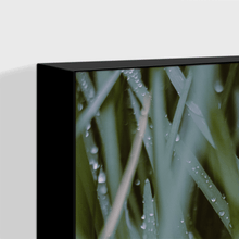 Load image into Gallery viewer, Leaves : Two