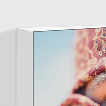 Load image into Gallery viewer, Nomad : One