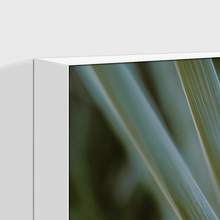 Load image into Gallery viewer, Leaves : Three