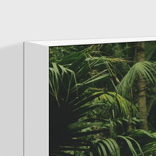 Load image into Gallery viewer, Forest : One