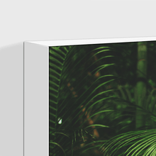 Load image into Gallery viewer, Forest : Three