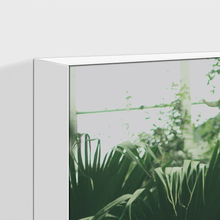 Load image into Gallery viewer, Forest : Four