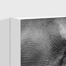 Load image into Gallery viewer, Wildlife : Two