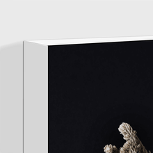 Load image into Gallery viewer, Dried flowers : Four