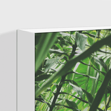 Load image into Gallery viewer, Forest : Two