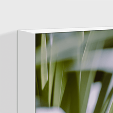 Load image into Gallery viewer, Leaves : One