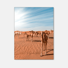 Load image into Gallery viewer, Nomad 3 - thumbnail
