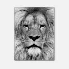 Load image into Gallery viewer, Wildlife : One