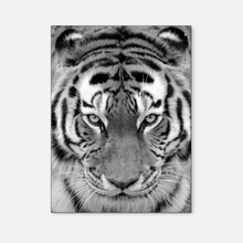 Load image into Gallery viewer, Wildlife : Four