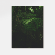 Load image into Gallery viewer, Forest : Three