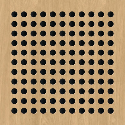 20 mm Hole