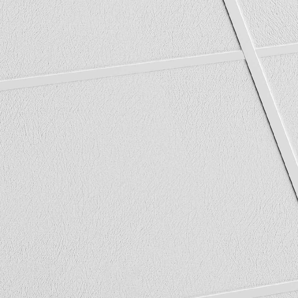 Drop in Ceiling Tiles - Edge type A (Grooved in)