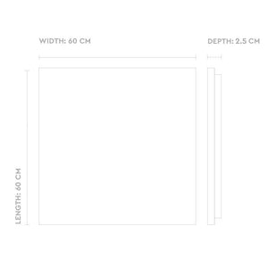 Drop in Ceiling Tiles - Edge type A (Grooved in)