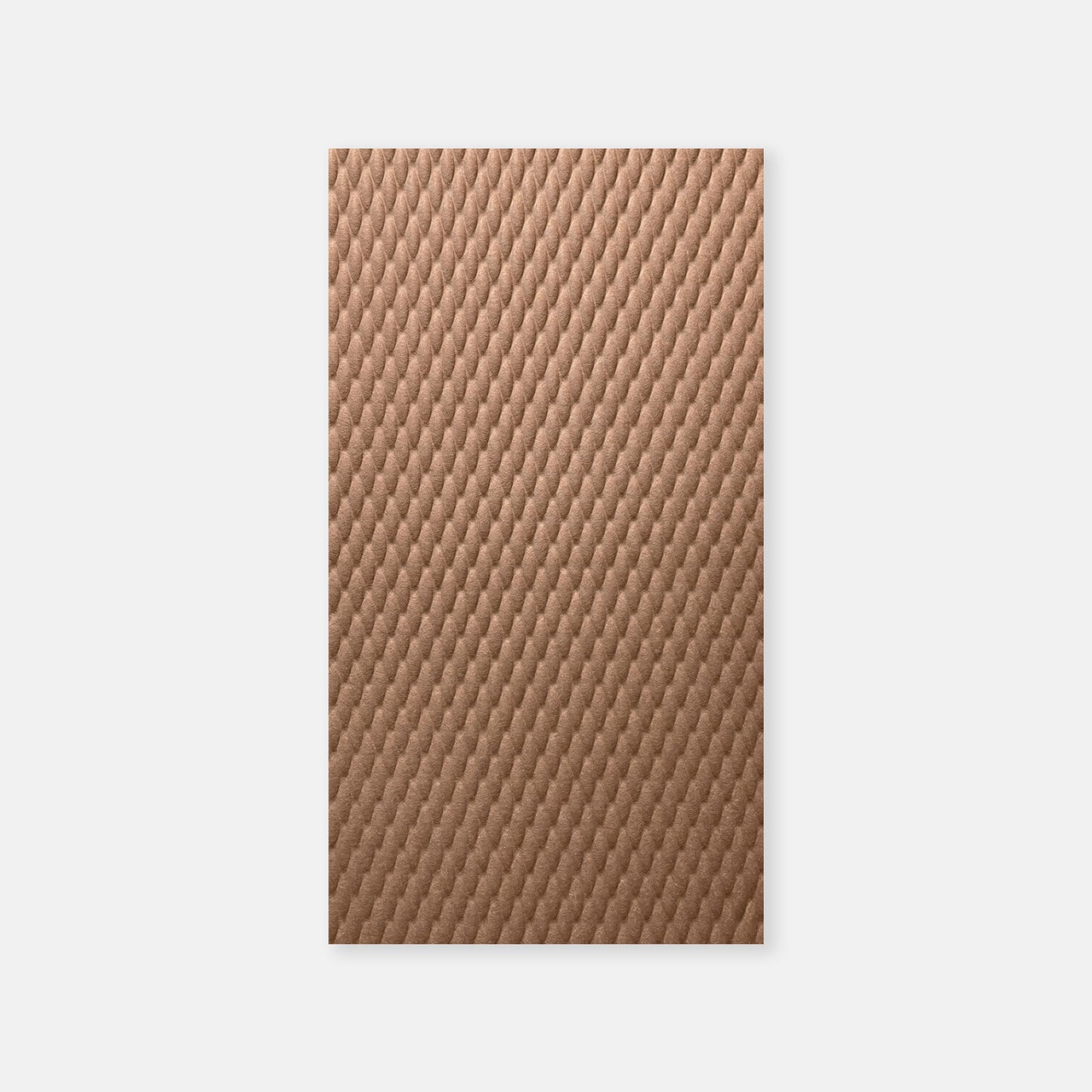 Shells - Panel