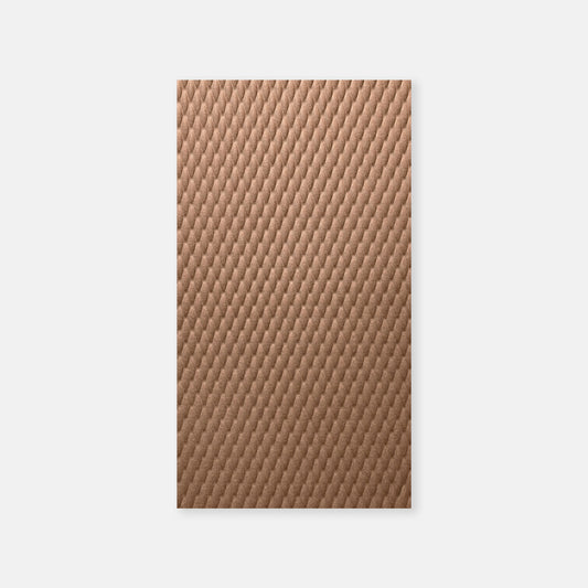 Shells - Panel