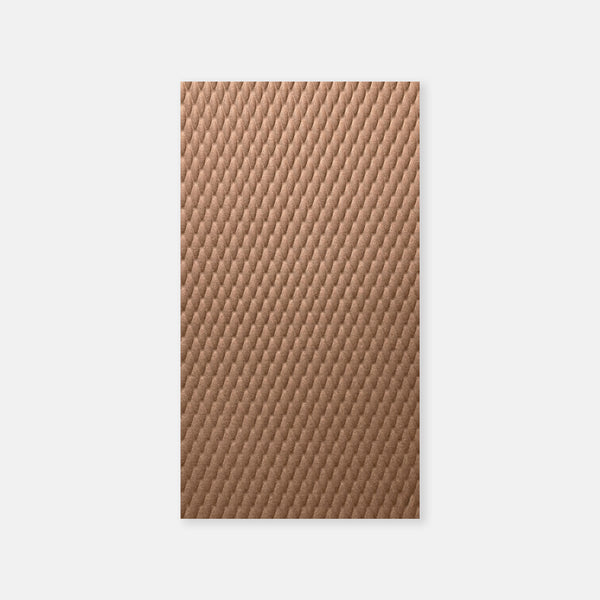 Shells - Panel