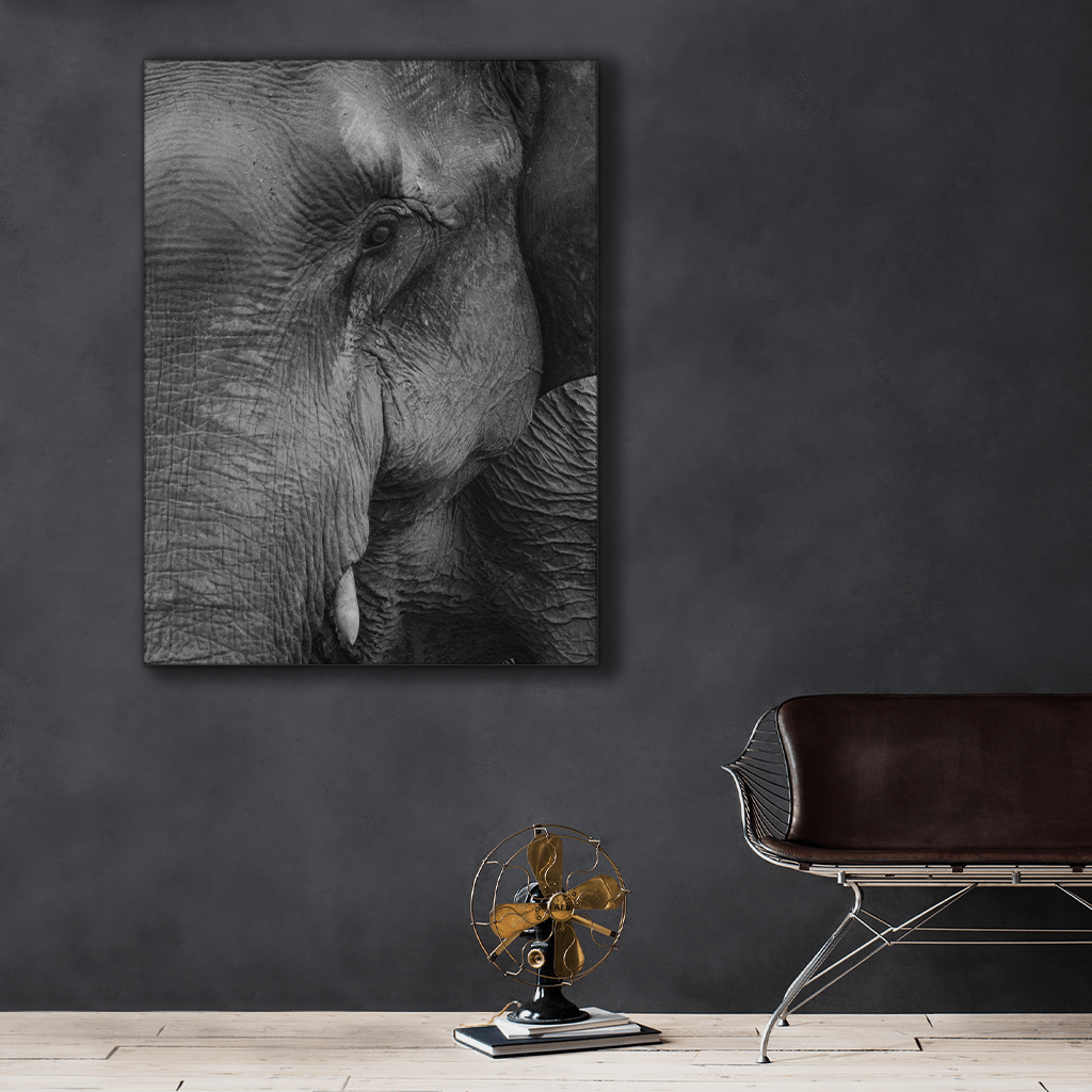 Wildlife : Two