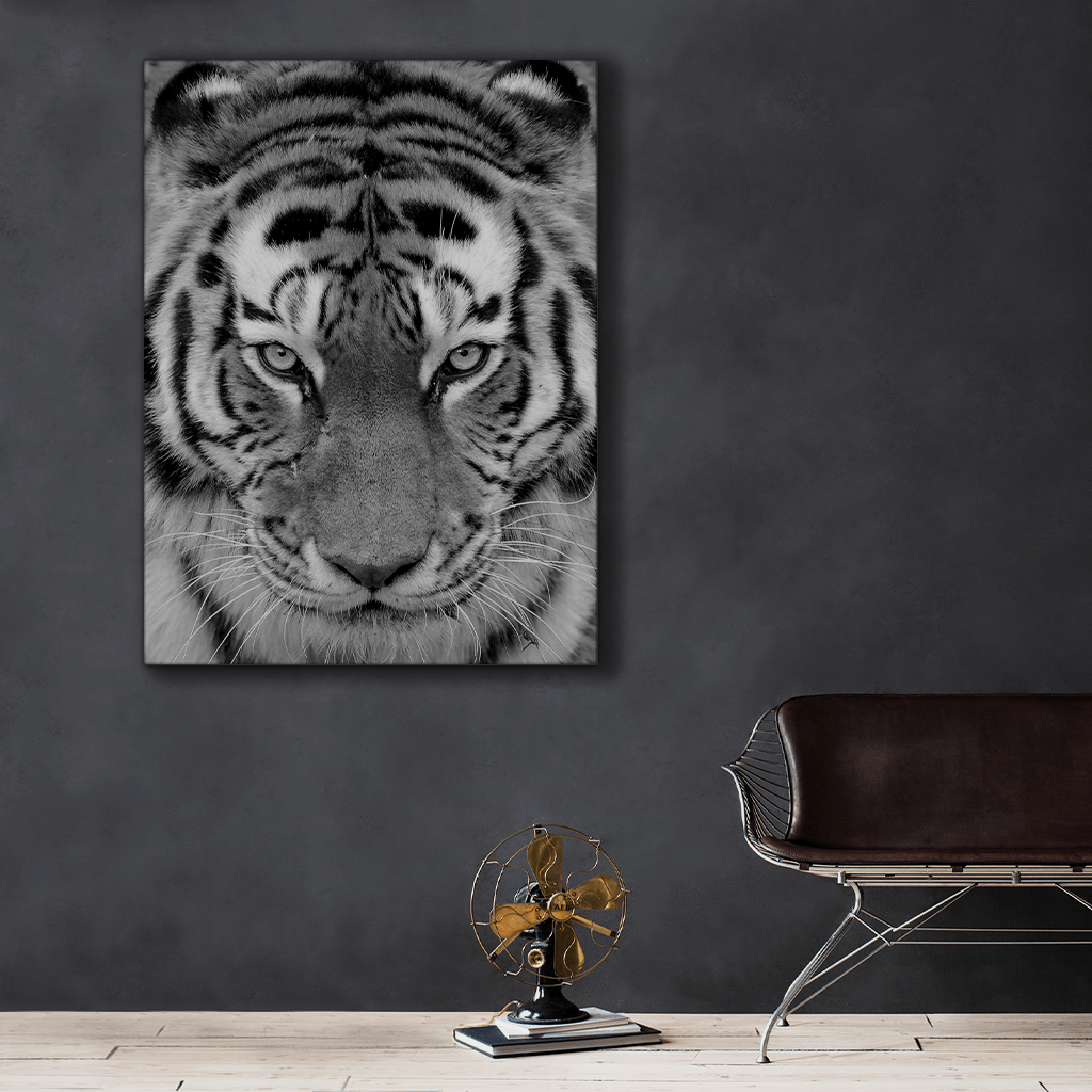 Wildlife : Four
