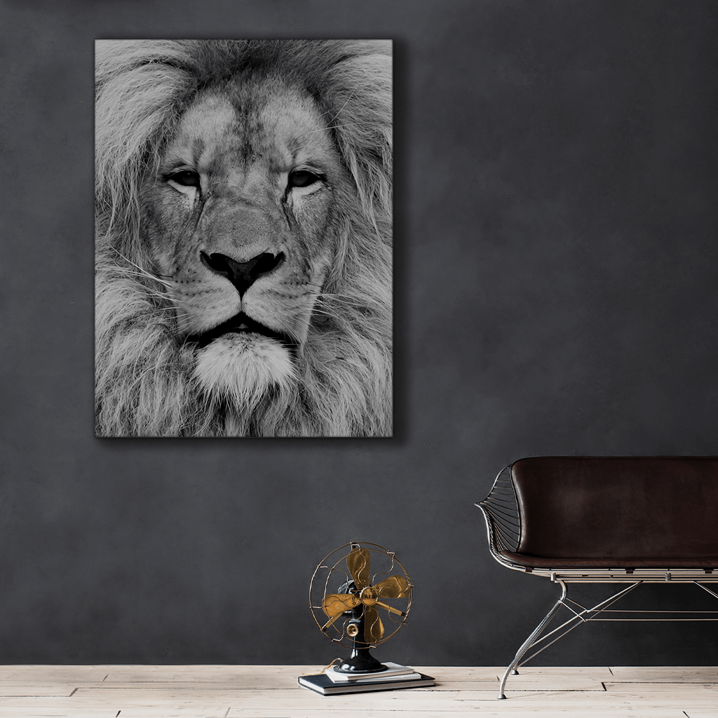 Wildlife : One