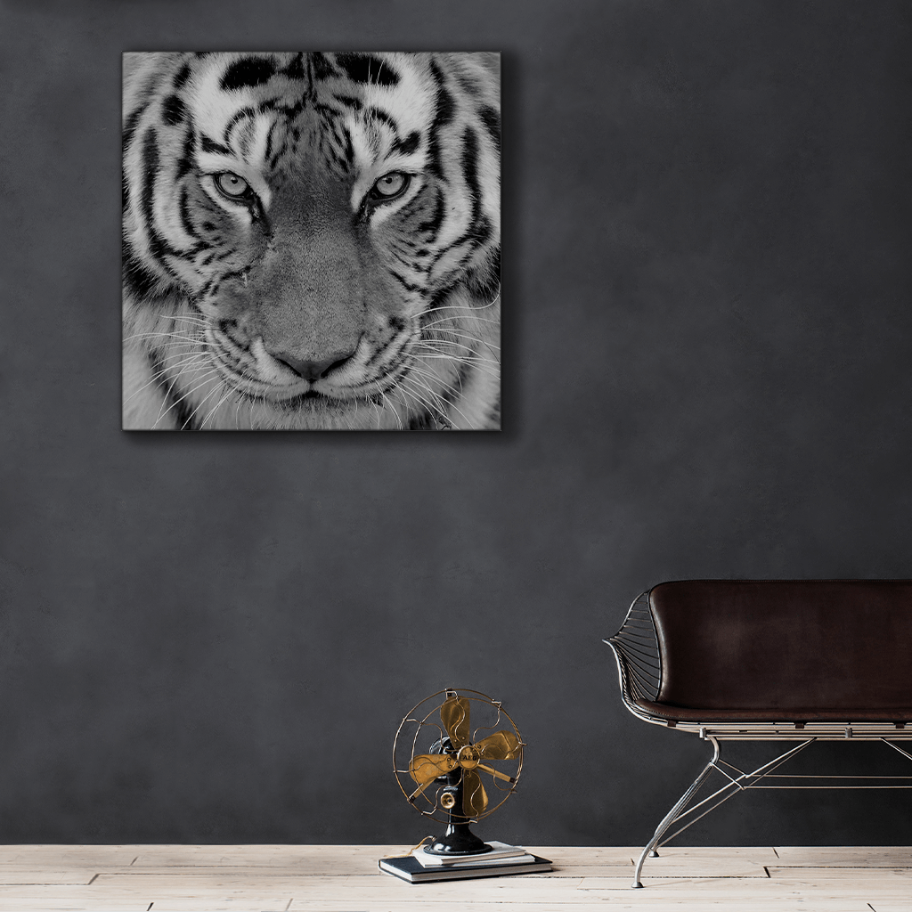 Wildlife : Four