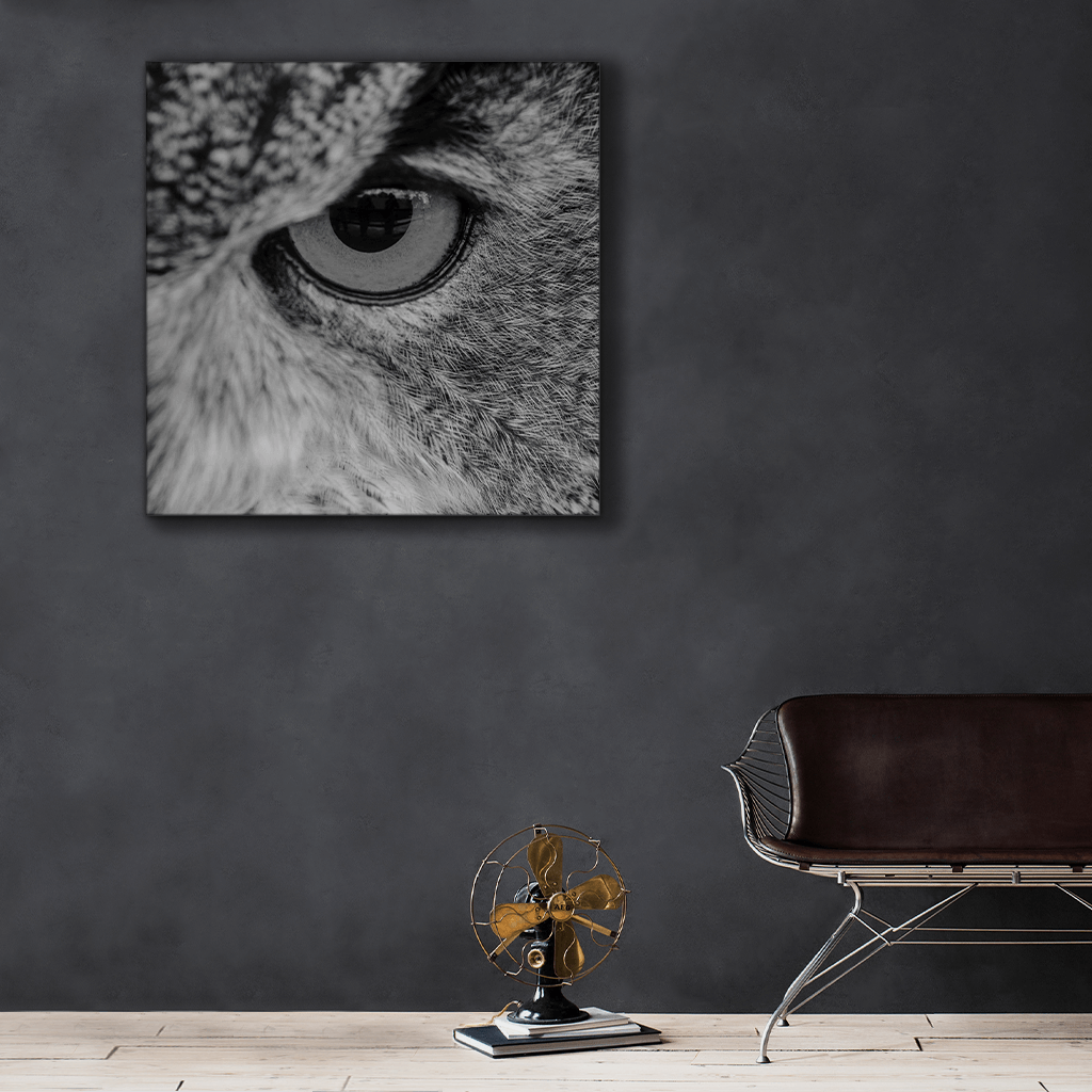 Wildlife : Three