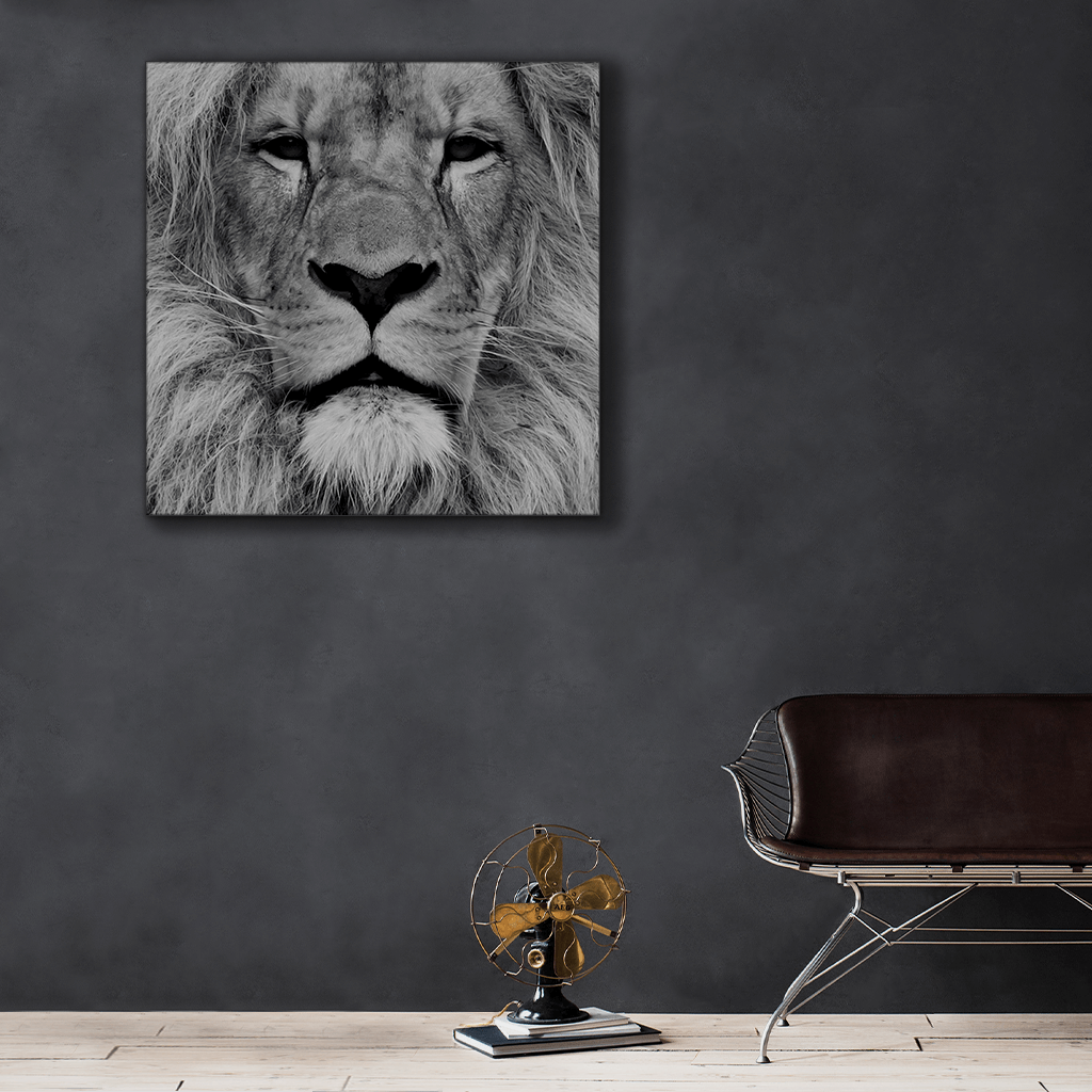 Wildlife : One