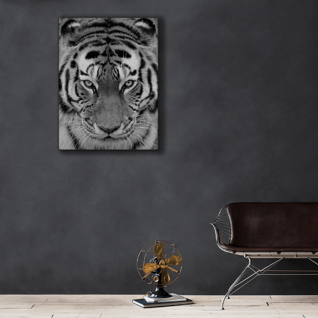 Wildlife : Four