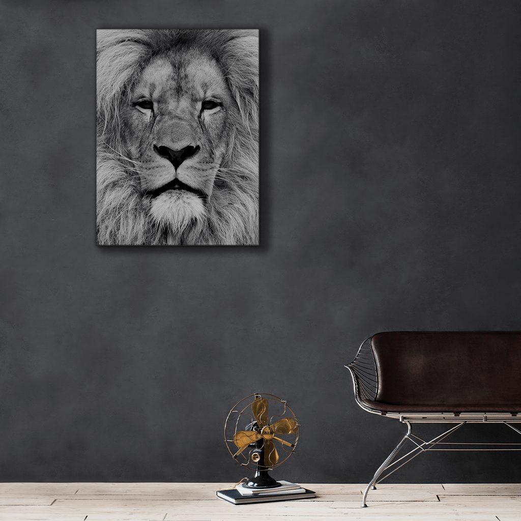Wildlife : One