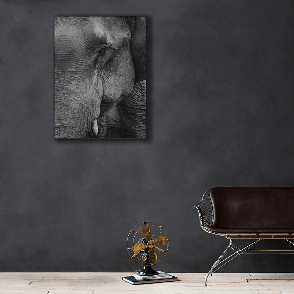 Wildlife : Two