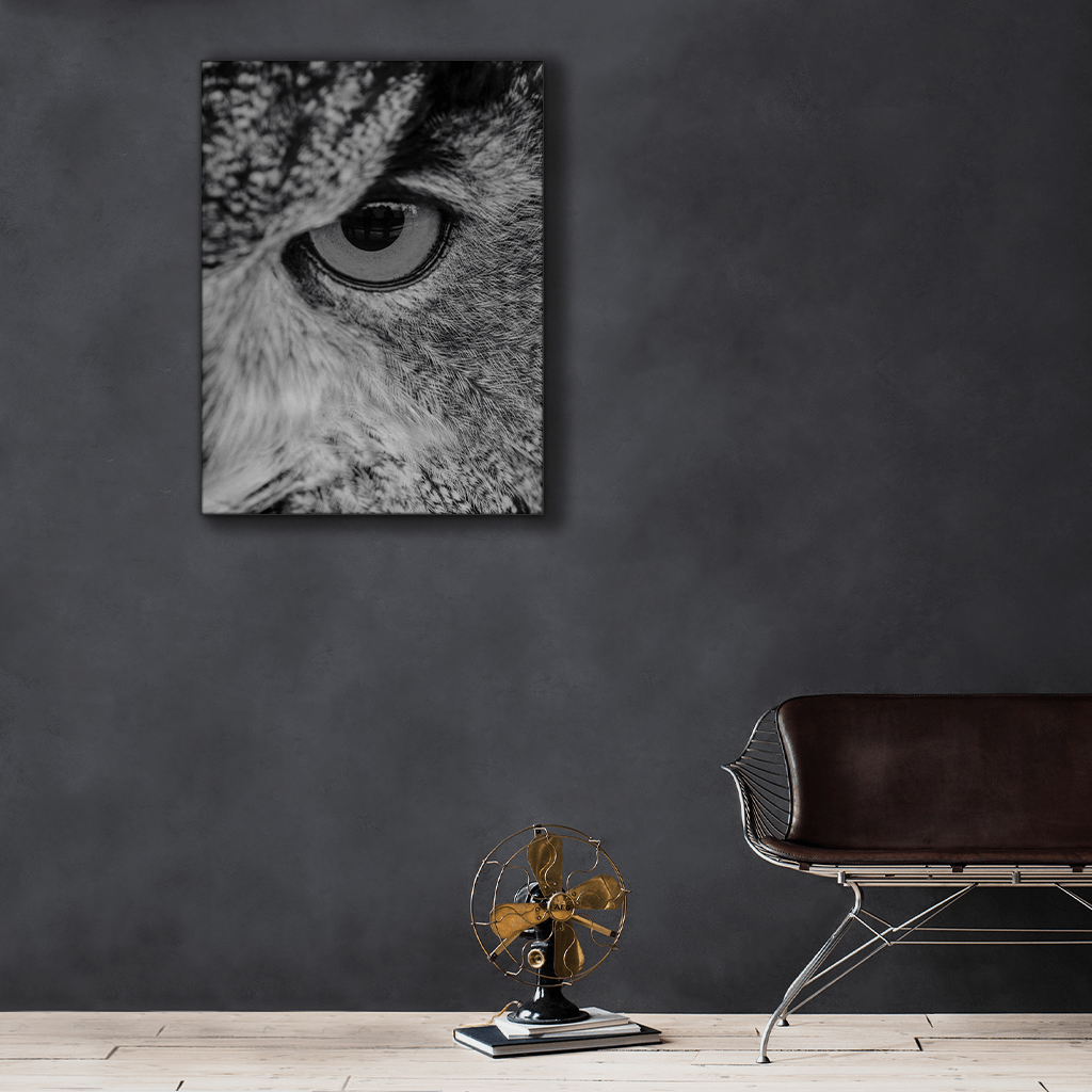 Wildlife : Three